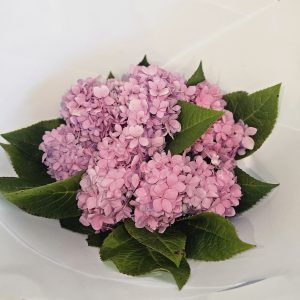 Hydrangea Bouquet (Seasonal)