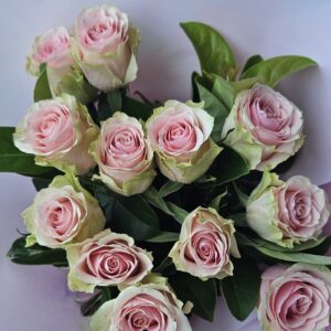 12 Pink Roses Bouquet